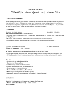 Ibrahim Dimasi - Management Information Systems Student Resume