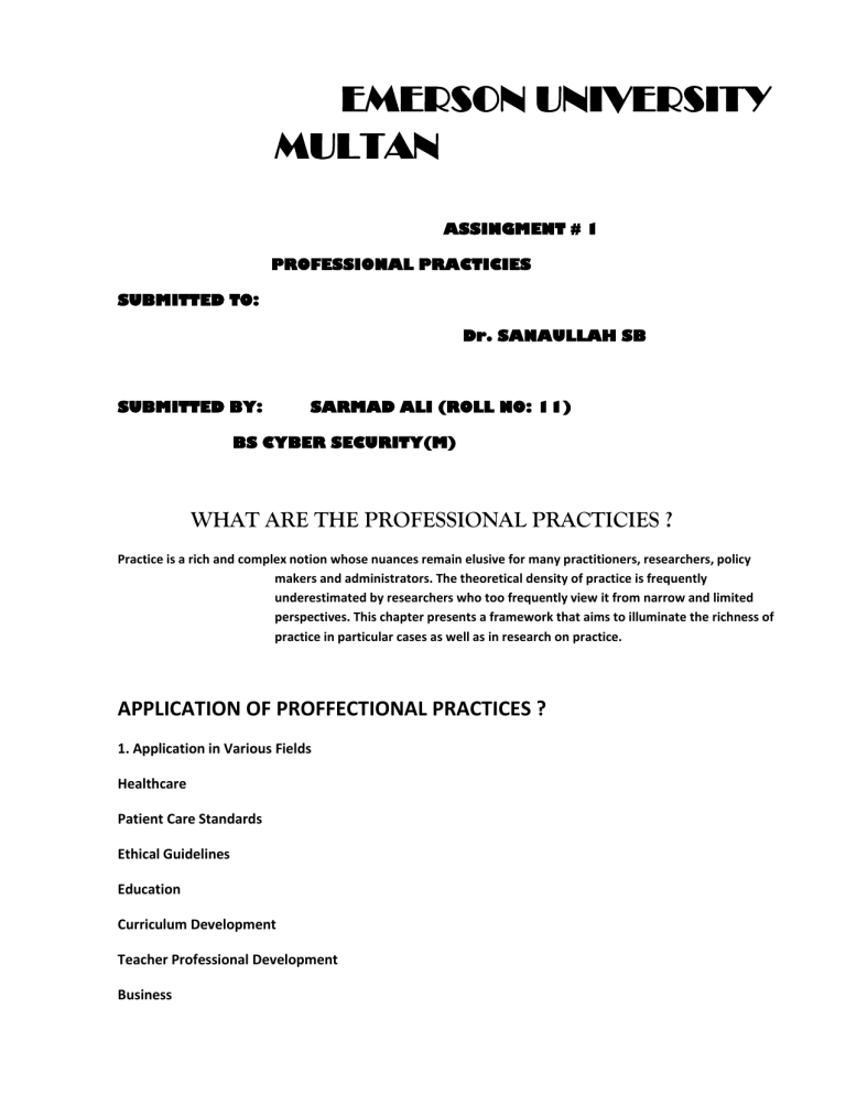 Professional Practices in Cybersecurity Assignment