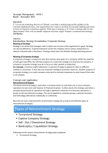 Strategic Management Exam Q&A: Citibank & IPL Case Studies