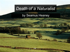 Death of a Naturalist: Poem Analysis & Study Guide