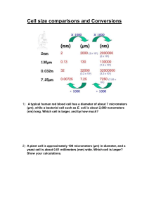 Cell Size Conversions: Biology Worksheet