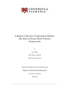 Social Work Practice Frameworks & Professional Identity Thesis
