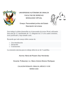 Ensayo Personalidad Juridica del Estado