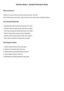 Nutrition Basics: Student Info Sheet & Worksheet