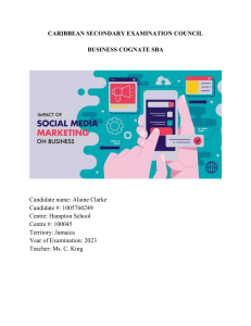 Social Media Marketing SBA: Impact on Business