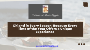 Chianti Spring: Montemaggio Winery Experience
