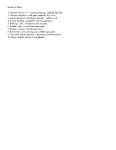 Dog Breeds and Their Characteristics