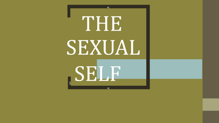 Hist of Sexuality 3 Care of Self