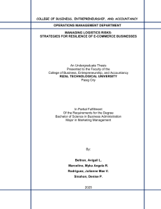 Logistics Risk Management in E-Commerce: A Thesis