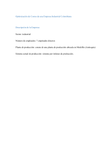 Optimizaci&oacute;n de Costos en Empresa Industrial Colombiana