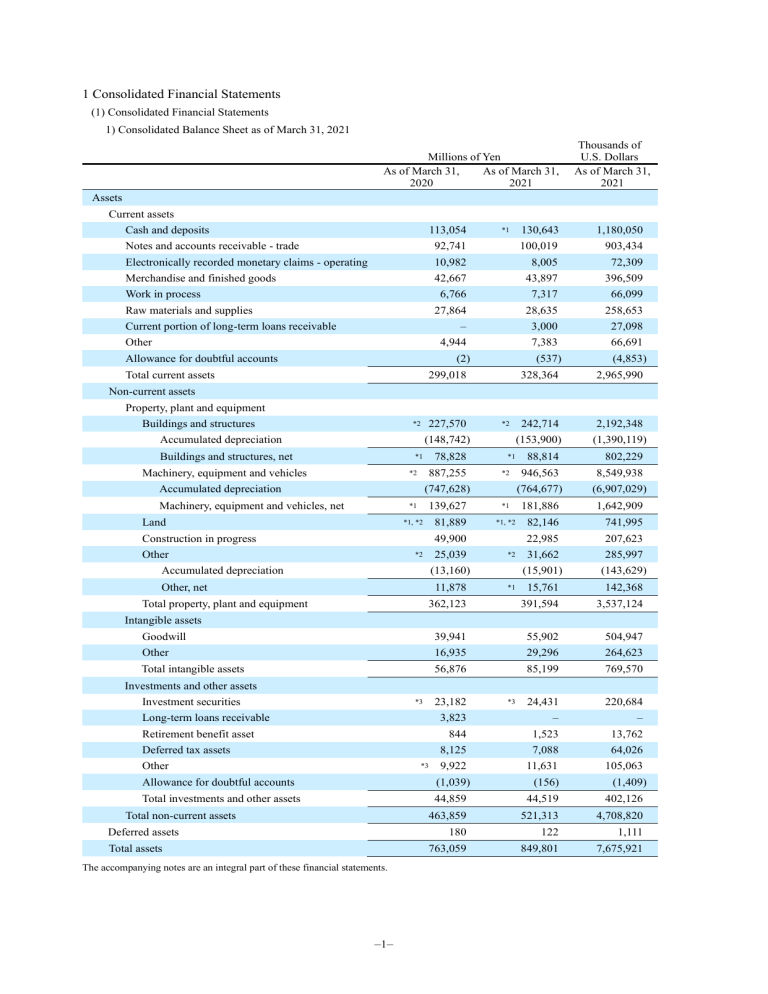 Consolidated Financial Statement - Balance Sheet & Income