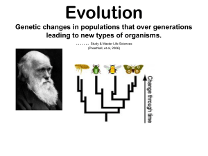 Evolution: Theory, Evidence, and Phylogenetic Trees