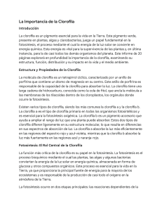 La Importancia de la Clorofila: Fotos&iacute;ntesis y Vida