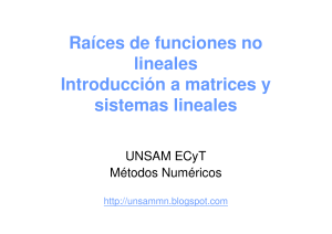 Ra&iacute;ces de Funciones No Lineales y Sistemas Lineales