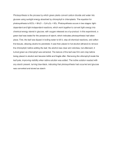 Photosynthesis & Starch Test: A Lab Explanation