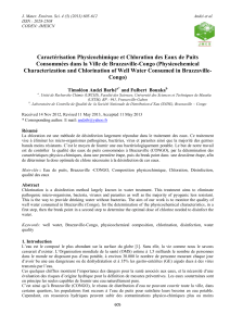 Qualité de l'eau et chloration à Brazzaville, Congo