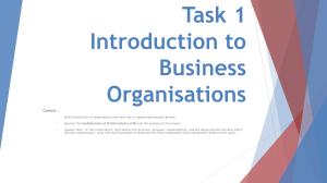 Business Organizations: Structure, Purpose & Responsibilities