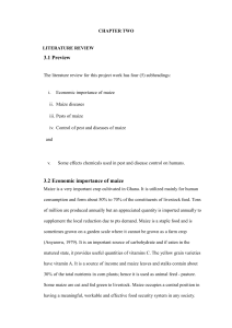 Maize Production in Ghana: Literature Review