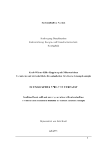 Microturbine CHP: Technical & Economic Analysis