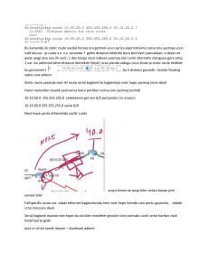 Static Routing, VLANs, and DHCP Configuration Notes