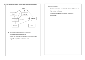 Australian Grassland Food Web: Ecology Worksheet