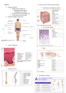 Anatomy & Chemistry Exam Study Guide