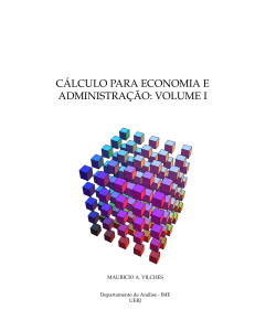 Cálculo para Economia & Administração, Vol. I