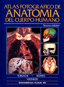 Human Anatomy Photographic Atlas - Yokochi, Rohen, Weinreb