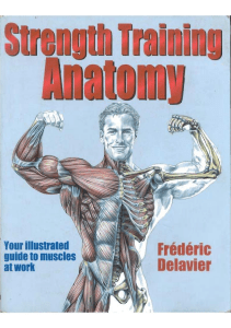 Strength Training Anatomy: Illustrated Guide to Muscles at Work