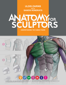 Anatomy for Sculptors: Understanding the Human Figure - Uldis Zarins