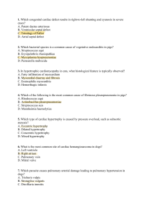 Veterinary Cardiology & Respiratory Exam Questions