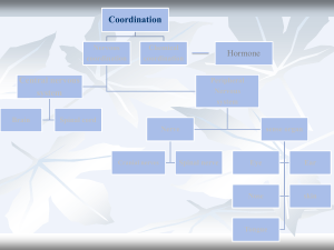 Coordination: Nervous & Chemical Systems