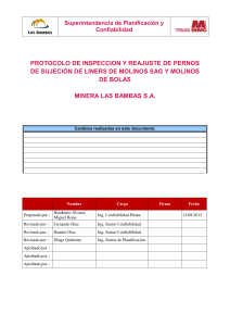 Protocolo de Inspecci&oacute;n de Pernos de Liners - Minera Las Bambas