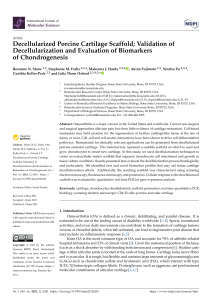 Decellularized Porcine Cartilage Scaffold: Chondrogenesis Biomarkers