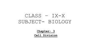 Cell Division: Mitosis & Meiosis - Biology Presentation