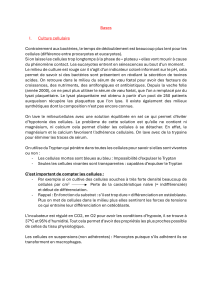 Culture Cellulaire & Ing&eacute;nierie Tissulaire: Cr&eacute;ation Ligament/Tendon