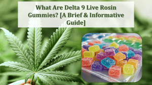Delta 9 Live Rosin Gummies: A Brief Informative Guide