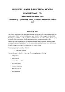 PEL Company Analysis: Mission, Vision, and Strategic Matrices