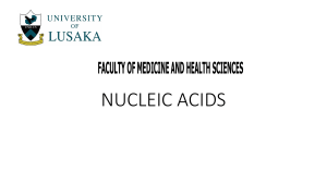 Nucleic Acids: DNA, RNA, and ATP - University Level
