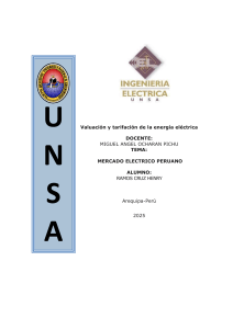 Mercado El&eacute;ctrico Peruano: Valoraci&oacute;n y Tarifaci&oacute;n