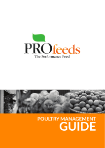 Poultry Management Guide: Broilers & Layers | Profeeds