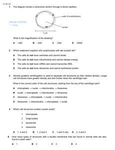 Egzamin z biologii: Struktura i funkcja kom&oacute;rki - Szkoła średnia