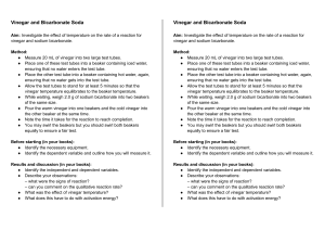 Vinegar & Bicarbonate Soda: Temperature & Reaction Rate