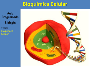 Bioqu&iacute;mica Celular: Composi&ccedil;&atilde;o e Propriedades