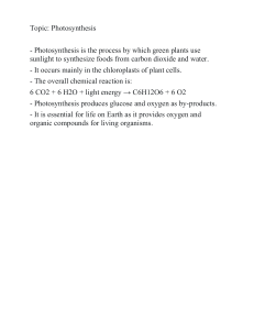 Photosynthesis: Definition, Reaction, and Importance