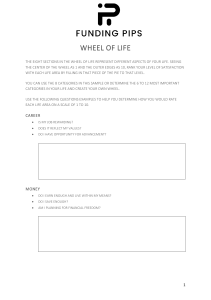 Wheel of Life Assessment: Balance & Goal Setting
