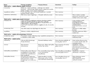 Mięśnie głowy i szyi: Przyczepy, Unerwienie, Funkcja
