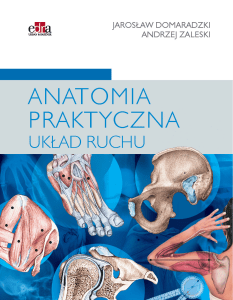 Anatomia Praktyczna Układu Ruchu