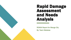 Mango City RDANA Report: Damage Assessment & Needs Analysis