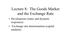 Lecture 8: Goods Market, Exchange Rate & Devaluations in Economics